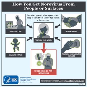 How you get Norovirus from people or surfaces. Norovirus spreads when a person gets poop or vomit from an infected person in their mouth.