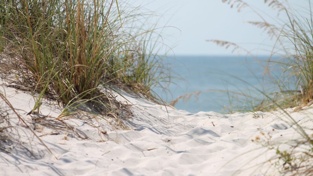 Sand on the beach.